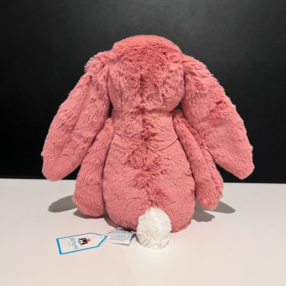 NWT Retired ‼️Jellycat Medium Bashful Sorrel Bunny - HTF - FAST SHIPPING - Picture 3 of 6